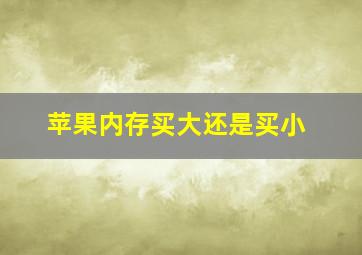 苹果内存买大还是买小