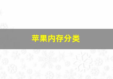 苹果内存分类