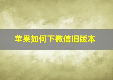 苹果如何下微信旧版本