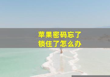 苹果密码忘了锁住了怎么办