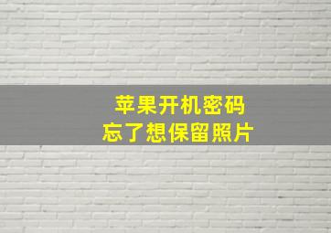 苹果开机密码忘了想保留照片