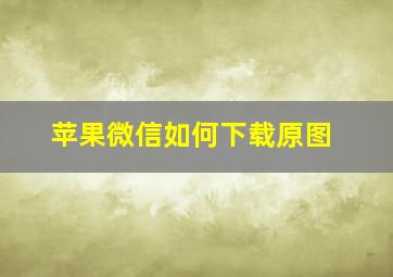 苹果微信如何下载原图