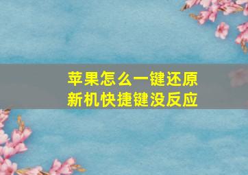 苹果怎么一键还原新机快捷键没反应