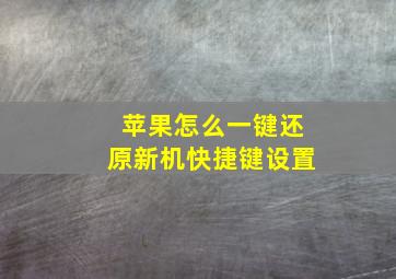 苹果怎么一键还原新机快捷键设置