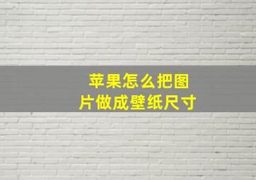 苹果怎么把图片做成壁纸尺寸