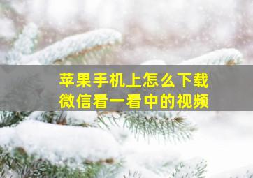 苹果手机上怎么下载微信看一看中的视频