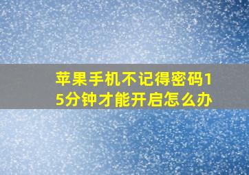 苹果手机不记得密码15分钟才能开启怎么办