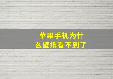 苹果手机为什么壁纸看不到了