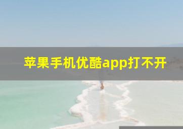 苹果手机优酷app打不开