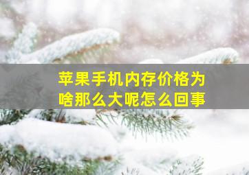 苹果手机内存价格为啥那么大呢怎么回事