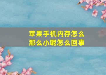 苹果手机内存怎么那么小呢怎么回事