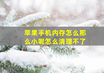 苹果手机内存怎么那么小呢怎么清理不了