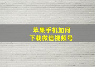 苹果手机如何下载微信视频号