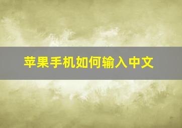 苹果手机如何输入中文