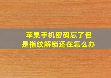 苹果手机密码忘了但是指纹解锁还在怎么办