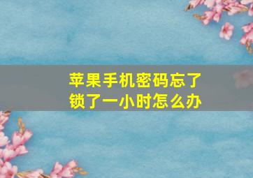 苹果手机密码忘了锁了一小时怎么办