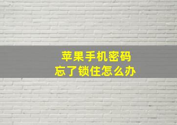 苹果手机密码忘了锁住怎么办