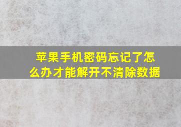 苹果手机密码忘记了怎么办才能解开不清除数据