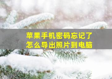 苹果手机密码忘记了怎么导出照片到电脑