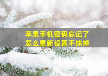 苹果手机密码忘记了怎么重新设置不抹掉