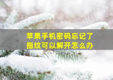 苹果手机密码忘记了指纹可以解开怎么办