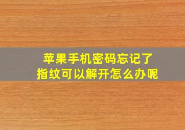 苹果手机密码忘记了指纹可以解开怎么办呢