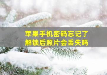 苹果手机密码忘记了解锁后照片会丢失吗