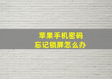 苹果手机密码忘记锁屏怎么办