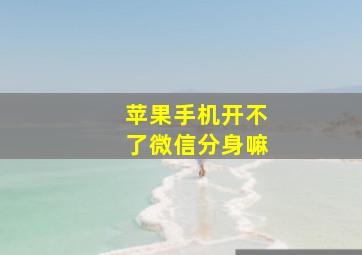 苹果手机开不了微信分身嘛