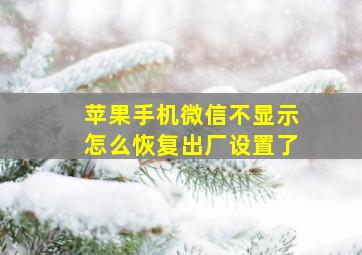 苹果手机微信不显示怎么恢复出厂设置了