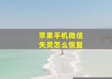 苹果手机微信失灵怎么恢复