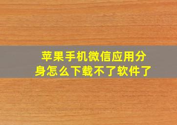 苹果手机微信应用分身怎么下载不了软件了