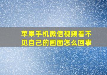 苹果手机微信视频看不见自己的画面怎么回事