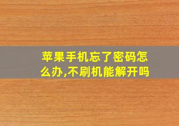 苹果手机忘了密码怎么办,不刷机能解开吗