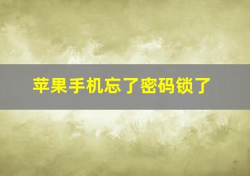 苹果手机忘了密码锁了