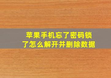 苹果手机忘了密码锁了怎么解开并删除数据