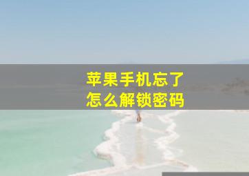 苹果手机忘了怎么解锁密码