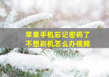 苹果手机忘记密码了不想刷机怎么办视频