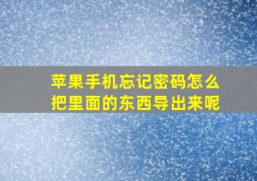 苹果手机忘记密码怎么把里面的东西导出来呢