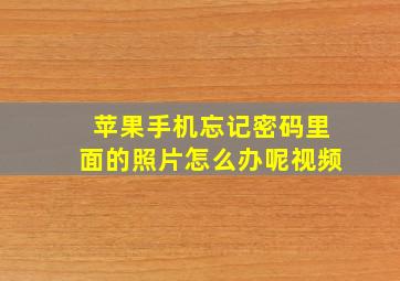 苹果手机忘记密码里面的照片怎么办呢视频