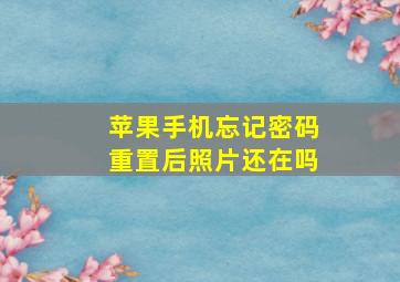 苹果手机忘记密码重置后照片还在吗