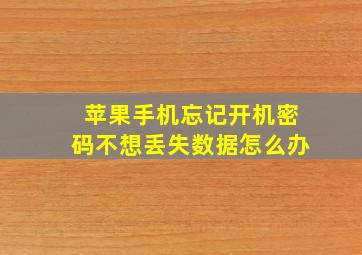 苹果手机忘记开机密码不想丢失数据怎么办