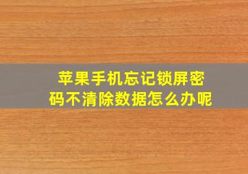 苹果手机忘记锁屏密码不清除数据怎么办呢