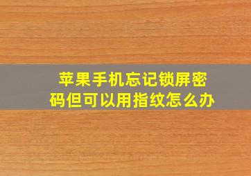 苹果手机忘记锁屏密码但可以用指纹怎么办