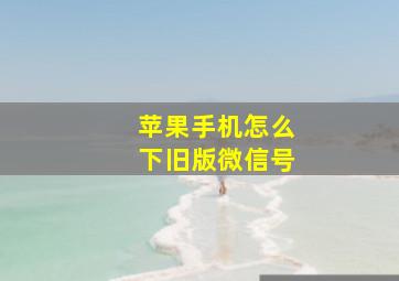 苹果手机怎么下旧版微信号