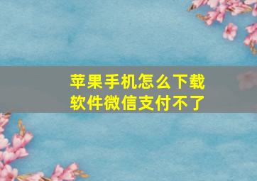 苹果手机怎么下载软件微信支付不了