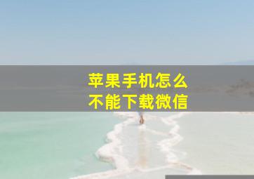 苹果手机怎么不能下载微信