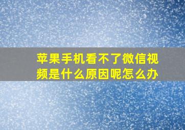 苹果手机看不了微信视频是什么原因呢怎么办