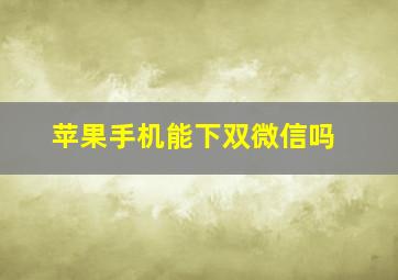 苹果手机能下双微信吗