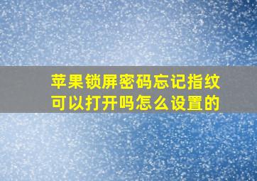 苹果锁屏密码忘记指纹可以打开吗怎么设置的